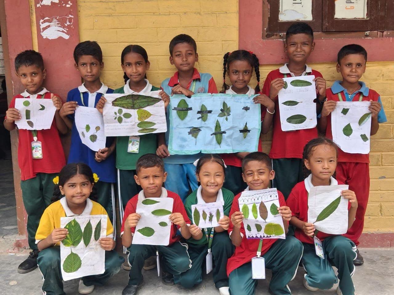 Students engaged in botanical leaf project