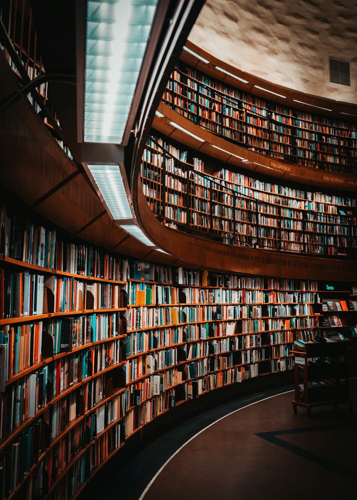 Book stacks and reference collection