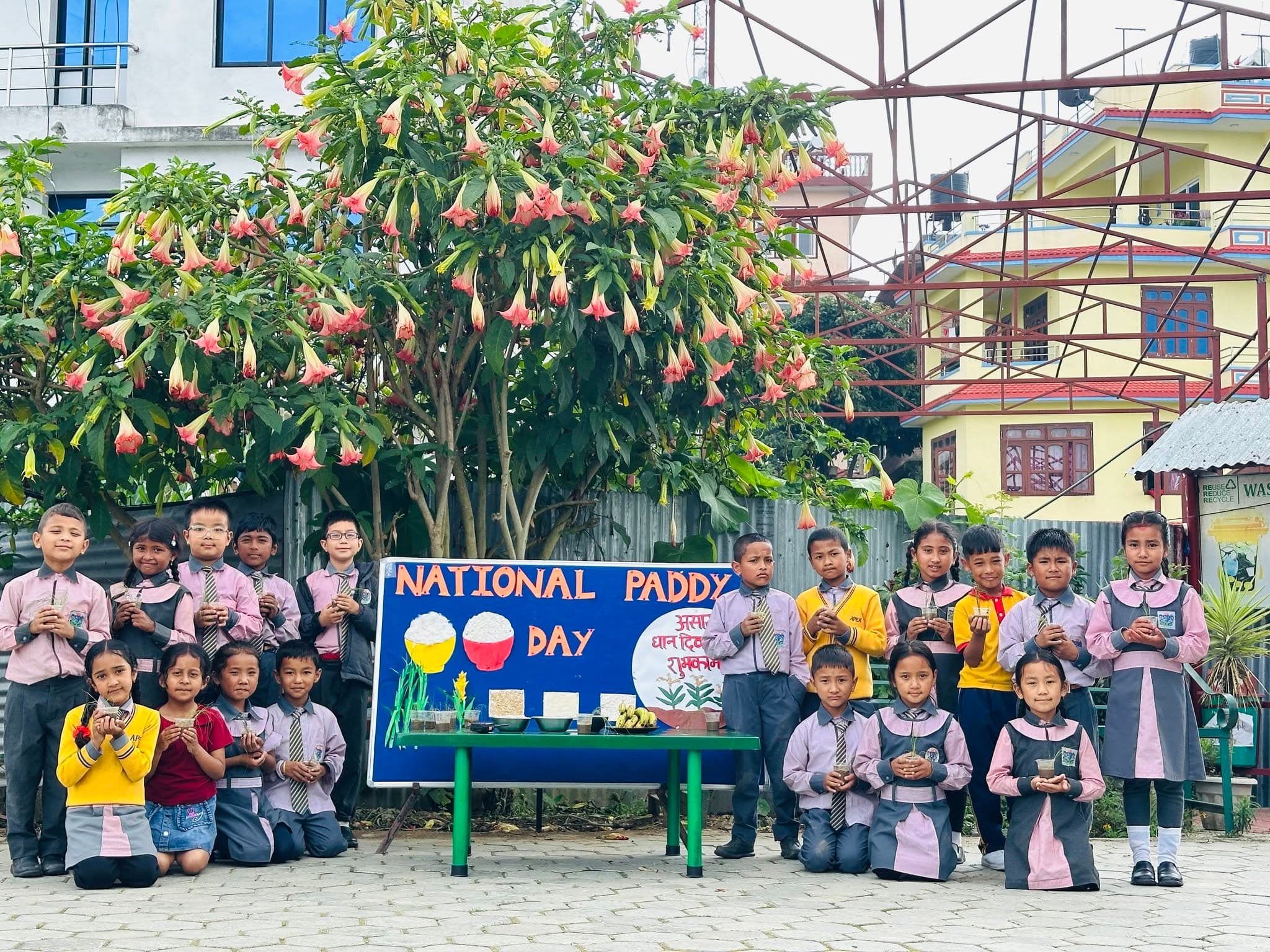 National Paddy Day Outdoor Field