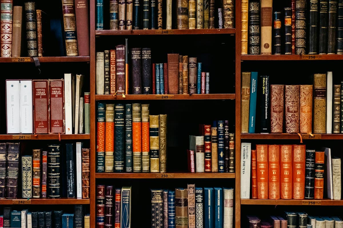 Central Library & Reading Sanctuary
